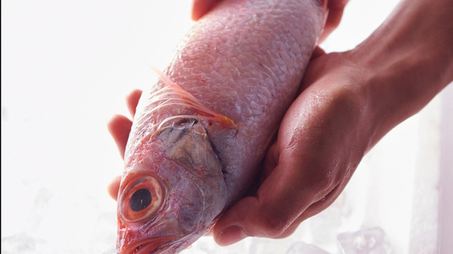 のどぐろ専門 銀座中俣 極 - メイン写真: