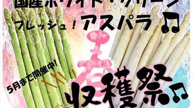 アルフォルトゥーナ - メイン写真: