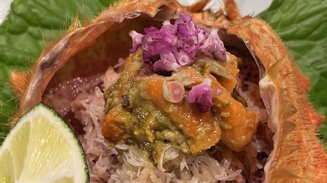 小熊 - メイン写真: