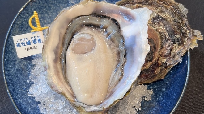 Oyster Bar ジャックポット - メイン写真: