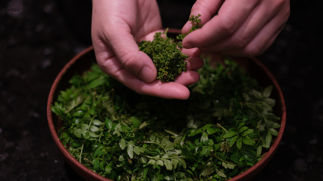 MEI - メイン写真: