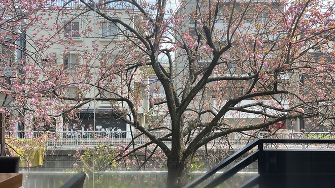 Restaurant Re: - メイン写真: