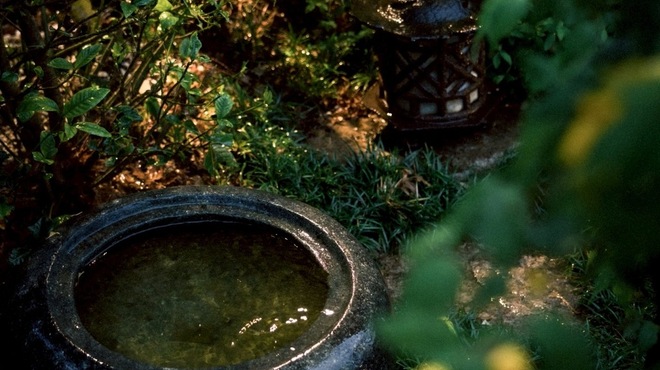 朧 - メイン写真: