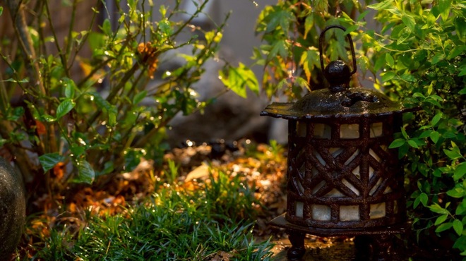 朧 - メイン写真: