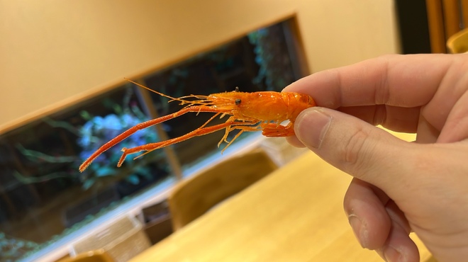 朧 - メイン写真: