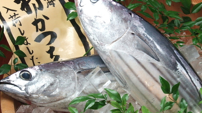鹿島屋 - メイン写真: