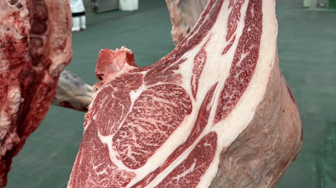 北新地はらみ 別邸 - メイン写真: