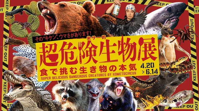 米とサーカス - メイン写真: