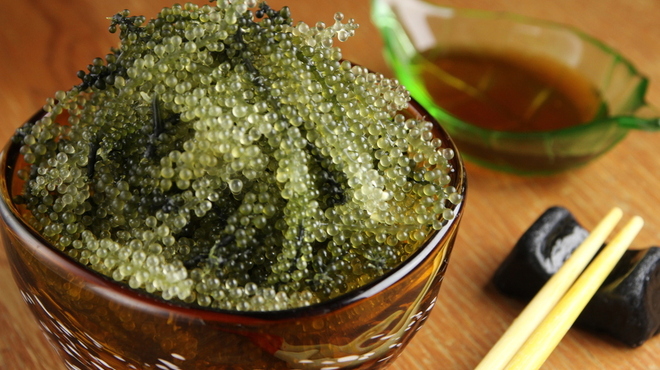 南国バル Hai-Sai - メイン写真: