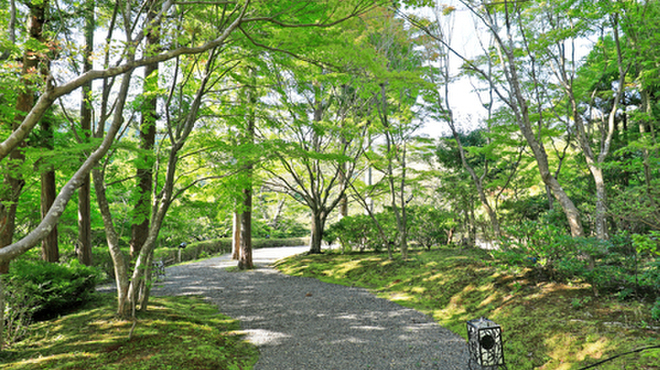 松山閣 松山 本店 - メイン写真: