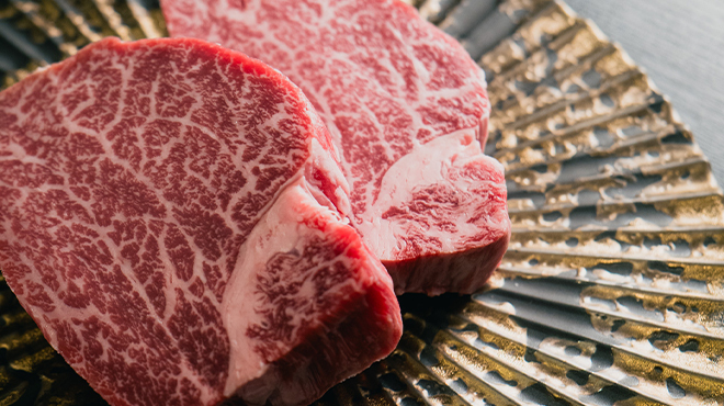 フィレ肉専門店 にくぞう - メイン写真: