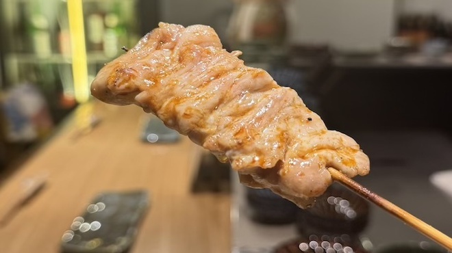 焼鳥と酒 バードスペース - メイン写真: