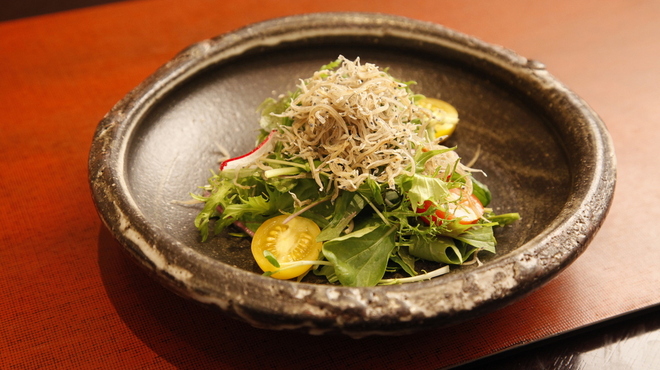わたべ - 料理写真:水菜とジャコのサラダ
