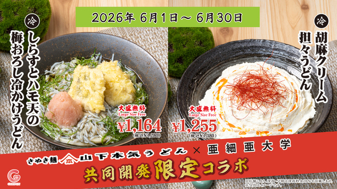 山下本気うどん - メイン写真: