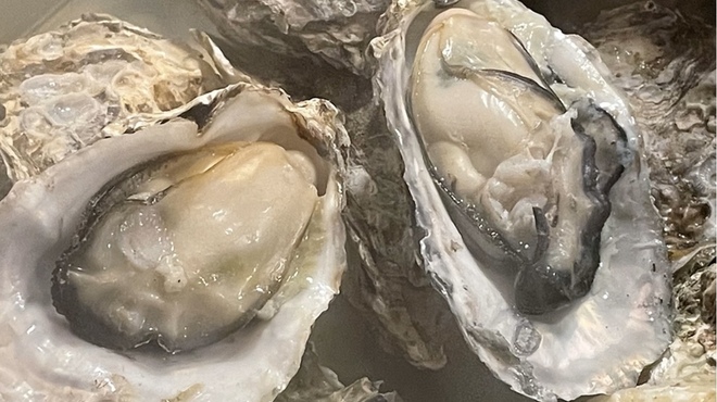 エキニシ広島名物 旨田屋 - メイン写真: