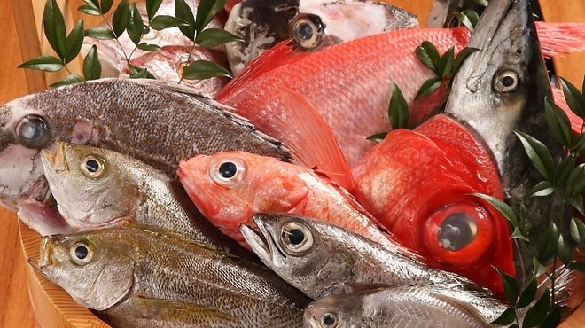 魚匠 銀平 心斎橋店 - メイン写真:
