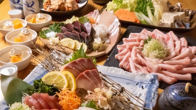 個室居酒屋 土佐将軍 魁宴 - メイン写真: