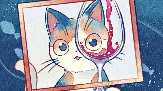 Gatto Calico - その他写真: