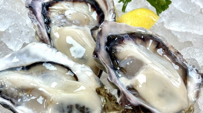fish&wine BLUE OCEAN GRILL - メイン写真: