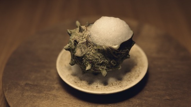 日本のイタリア料理店 IRORI - メイン写真: