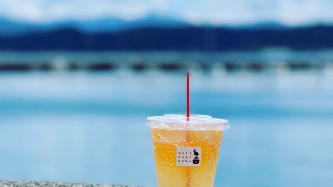 ごごにゃんファーム・CAFE NAWANAWA - メイン写真: