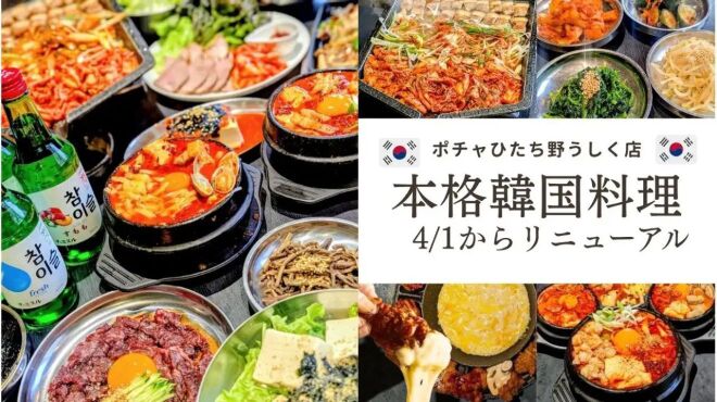 韓国屋台料理と純豆腐のお店 ポチャ - メイン写真: