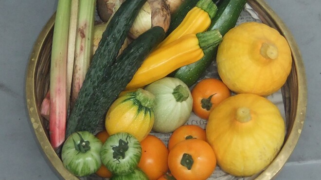 リストランテ アルベラータ - 料理写真:三浦半島：高梨農場の夏野菜が到着！