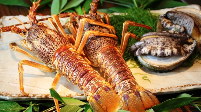 蘭麻 - メイン写真: