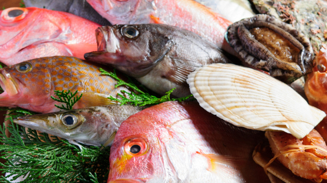魚料理 沖の瀬 - メイン写真: