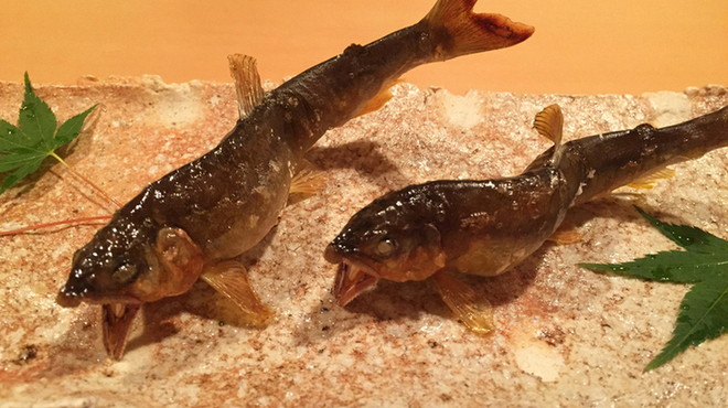 料理 澤 - 料理写真: