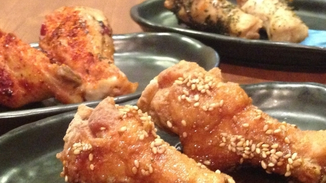 Yadoriki Tori Senmon Izakaya