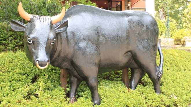 あ・かうはーど - メイン写真: