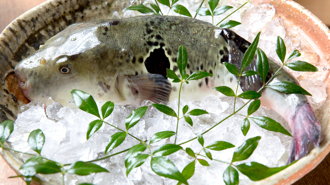 魚匠 銀平本店 - メイン写真: