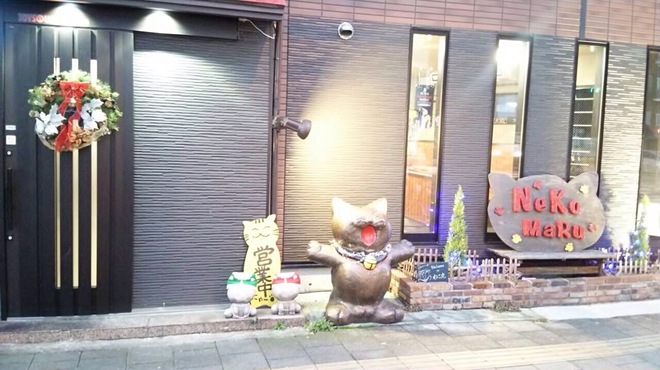 ねこ丸 - メイン写真: