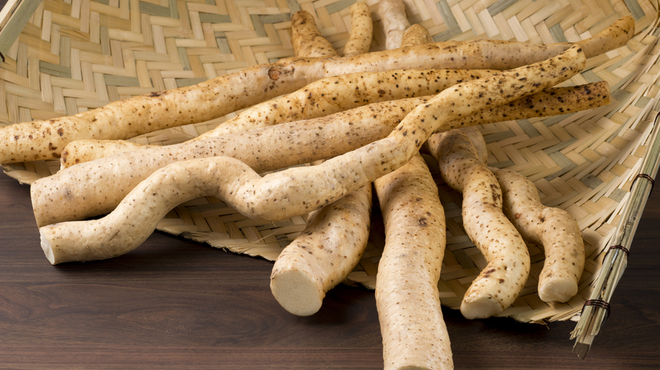 山薬 - メイン写真: