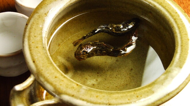 北陸料理 新越 - ドリンク写真:天然鮴骨酒