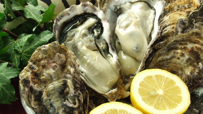 紅緒 - メイン写真: