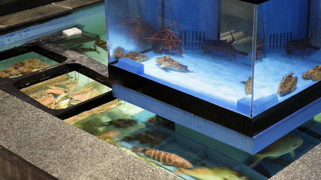 正弁丹吾 - 内観写真: