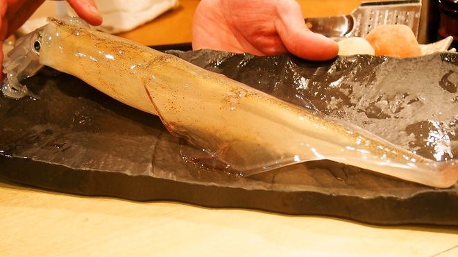 鮨棗 本店 - 料理写真:活烏賊