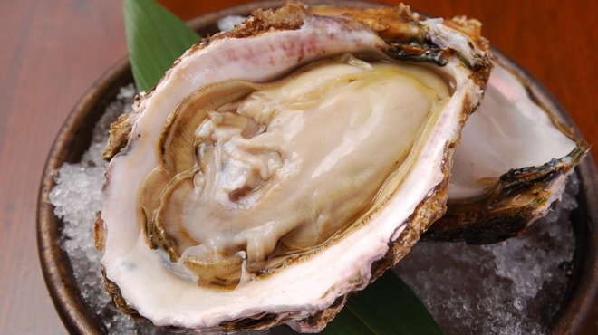 江戸YA - メイン写真: