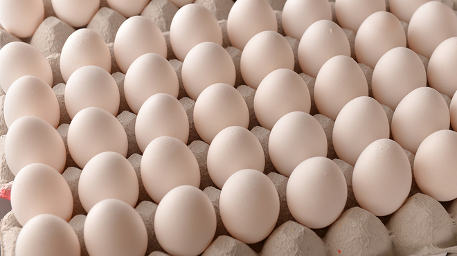 鳥料理 玉ひで - メイン写真: