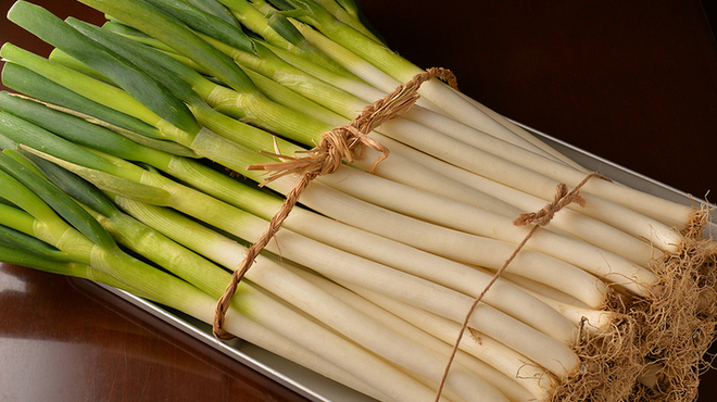 鳥料理 玉ひで - メイン写真: