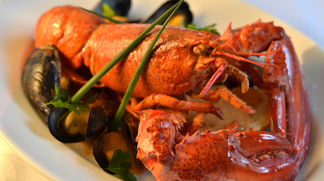 koji - メイン写真: