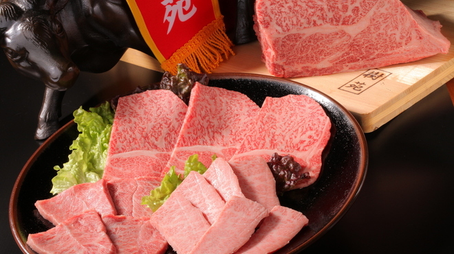 樹苑　黒毛和牛専門店 - メイン写真:
