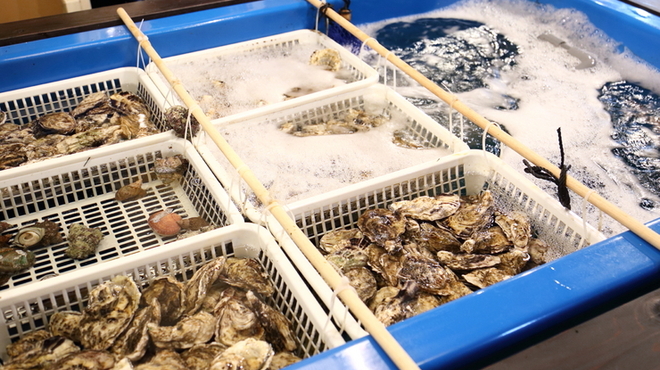 海鮮問屋 三宮 セリ壱 - メイン写真: