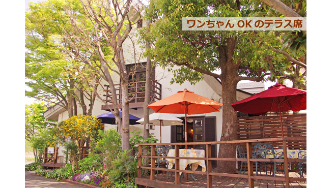 レストラン＆パティスリー 木かげ茶屋 - メイン写真: