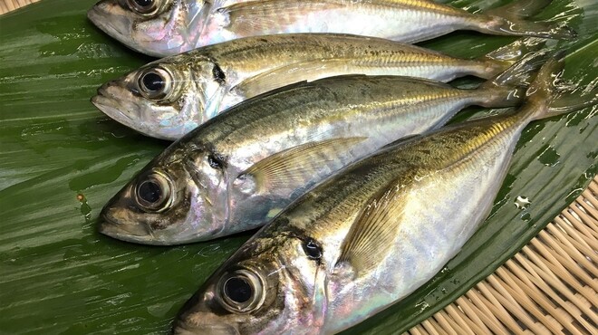 吉乃寿司 - メイン写真: