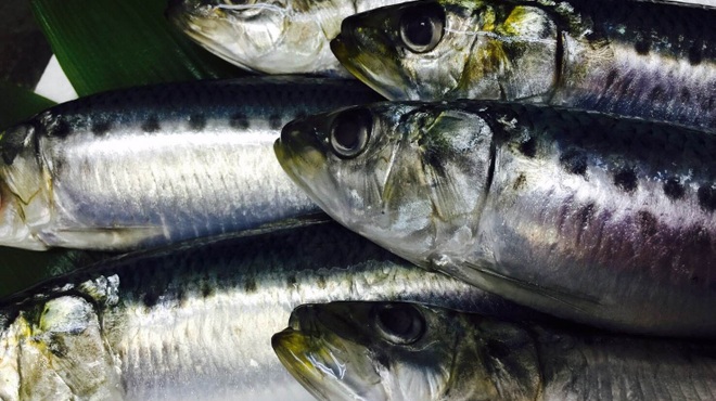 SAKE-FISH SAWASUKE - 料理写真: