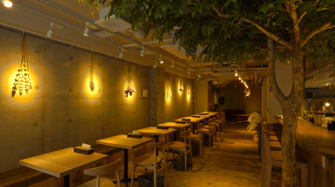 あたたかなお皿 - メイン写真: