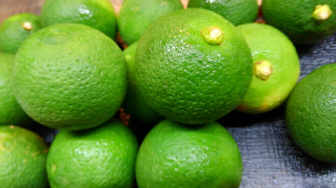 花善 - ドリンク写真: